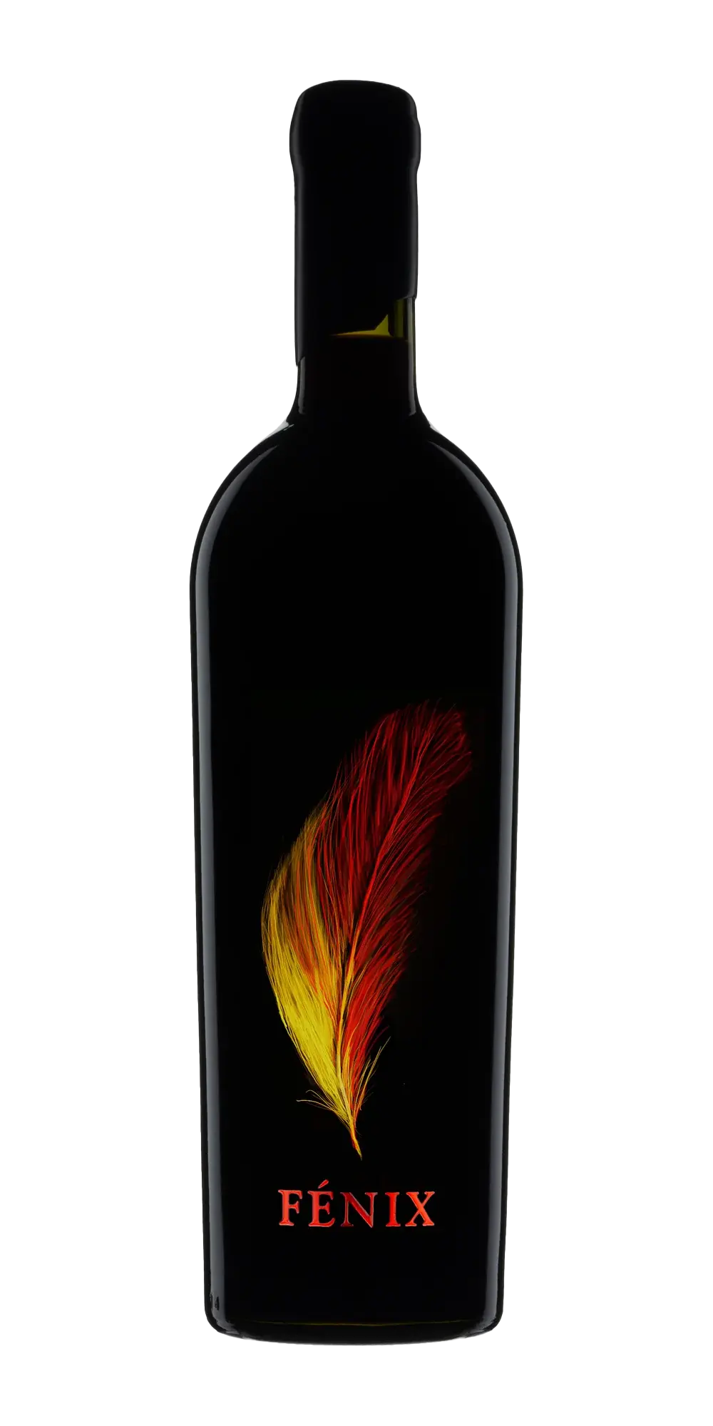 2020 Fénix
